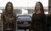 temp-com.gif